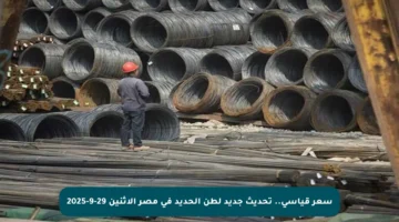 سعر قياسي.. تحديث جديد لطن الحديد في مصر الاثنين 29-9-2025